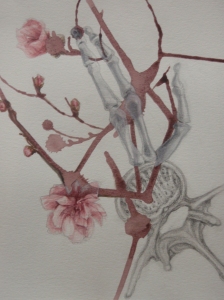 C4 with cherry blossoms. Graphite, conté crayon, and watercolour on paper, 2013
