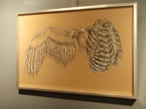 Rib Cage and Wing, 2013. Pencil crayon on kraft paper, 11" x 17".